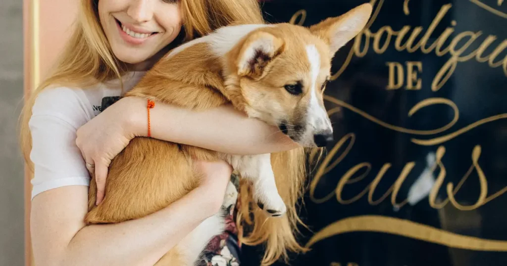 Can I Pet That Dog? 7 Dog Breeds That Love Attention